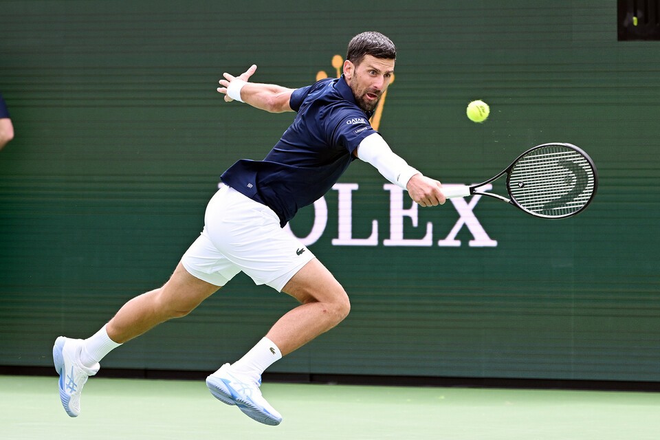 인디언웰스에서 조코비치 관련 이미지